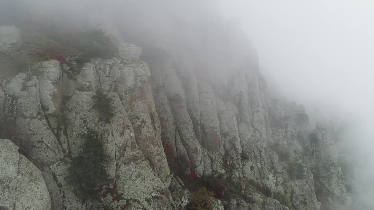 안개가 가득한 산꼭대기