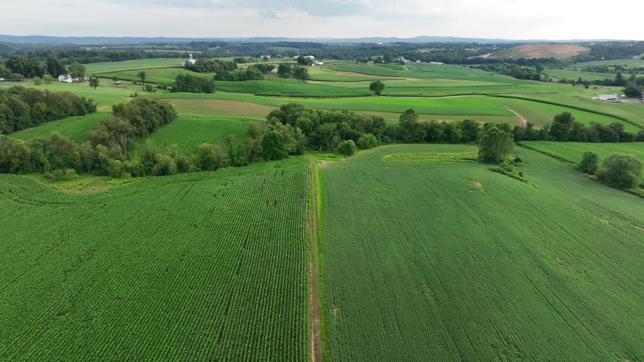 Wide aerial view of green corn and hay fields in Lancaster County Pennsylvania