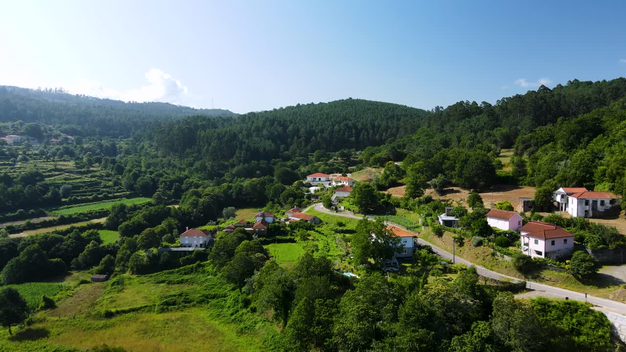 increíbles vistas aéreas de viñedos en el campo de portugal durante un soleado día de verano