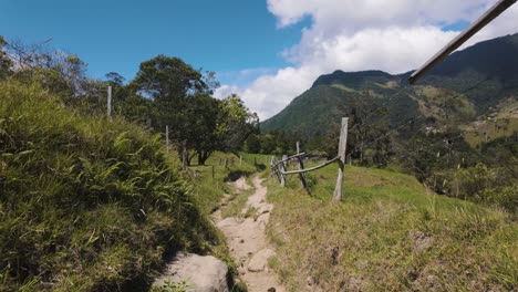 pov fue filmado caminando por un sendero, caminando por el valle de cocora, en la soleada colombia.