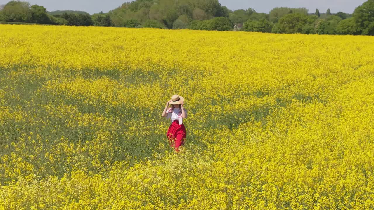 Drone reveals a blooming yellow meadow as a woman in vintage clothes peacefully walks through, capturing the serene beauty of the countryside in warm sunlight