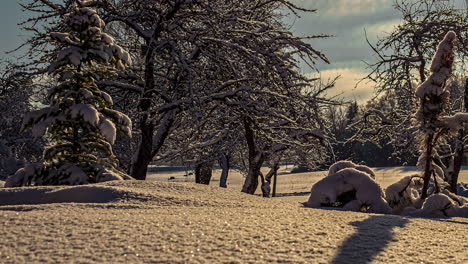 with snow on the trees and ground, shadows and clouds cross the scene as the sun crosses the sky - time lapse