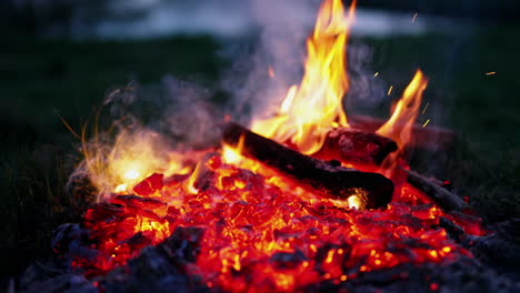 burning fire with sparkles. man breaks burning logs with a stick in the evening. glowing wood in charcoal. red charcoals in fire on dark background. close-up.