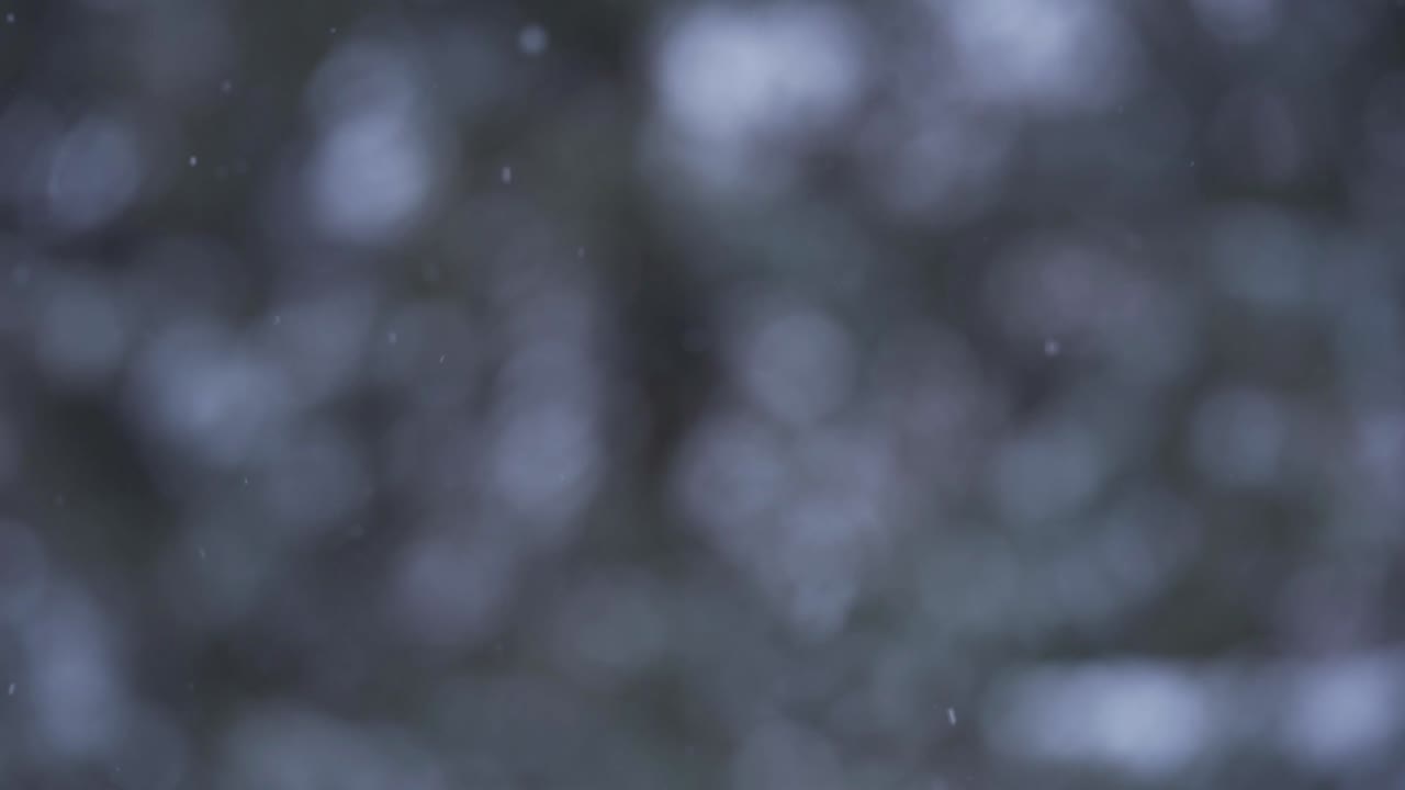 Isolated Shot Of Snow Falling In Slow Motion During Winter Storm