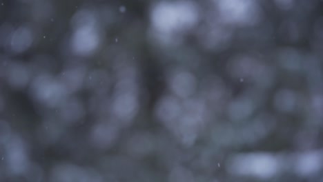 toma aislada de nieve cayendo en cámara lenta durante la tormenta de invierno