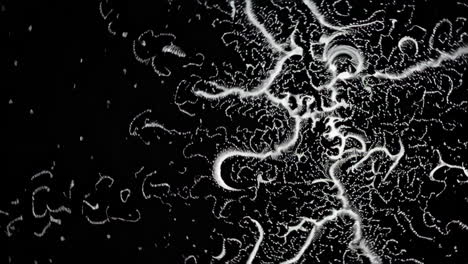patrón abstracto en blanco y negro