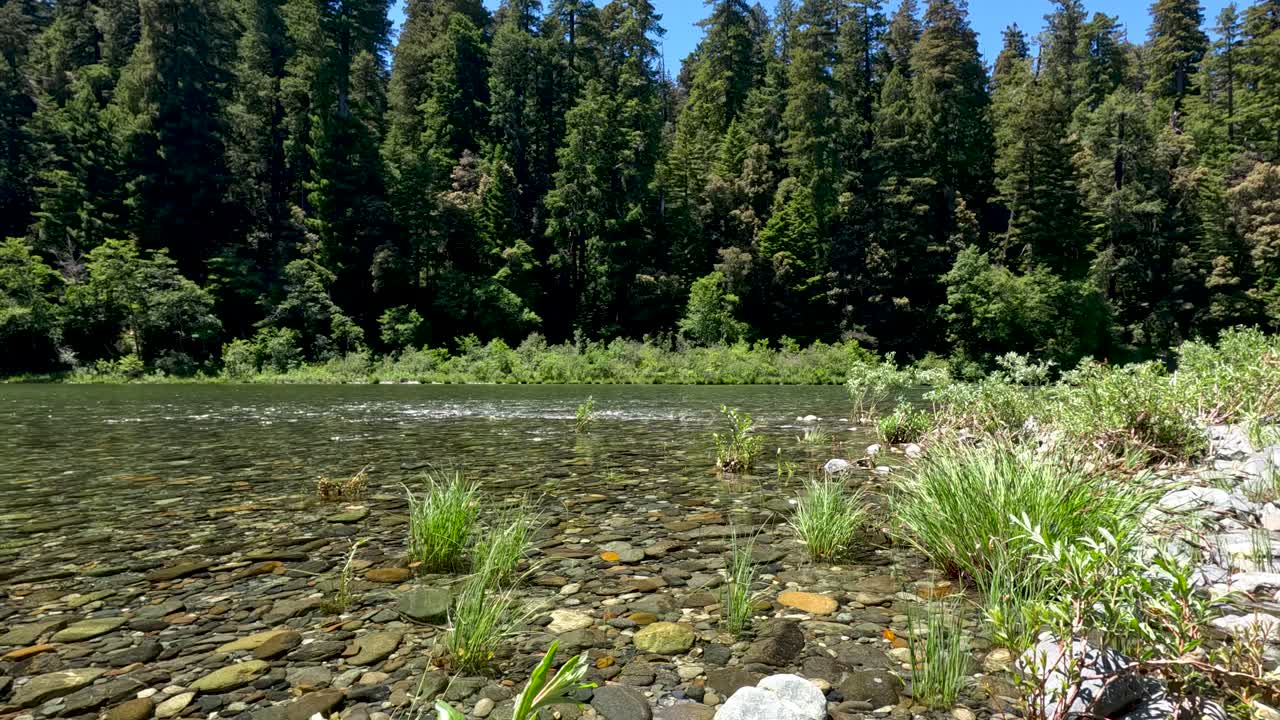바위가 있는 해안선을 가로지르는 물의 흐름
