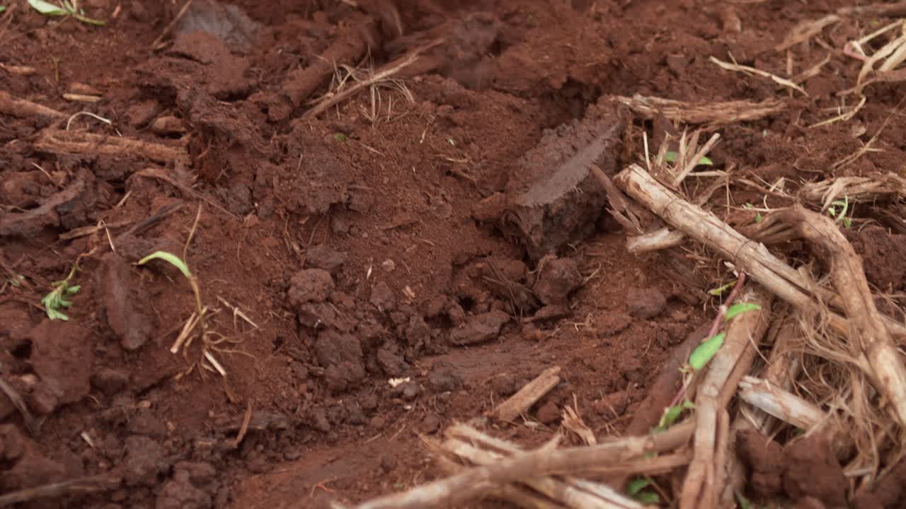 Scavare nel terreno con un piccone. Primo piano