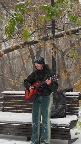 joven tocando la guitarra en un parque cubierto de nieve durante el invierno, de pie cerca de un banco de madera con la nieve cayendo suavemente, rodeada de árboles helados y un paisaje natural sereno