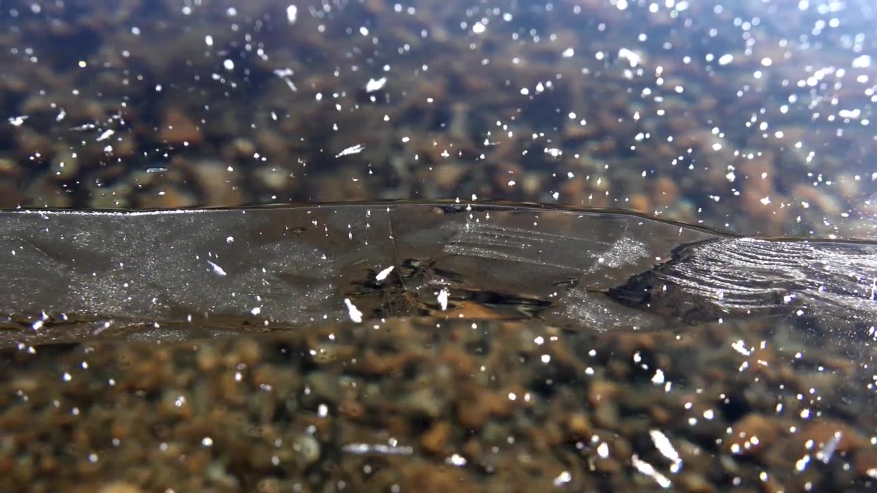 Thin Layer of Ice Floating on Shallow Water
