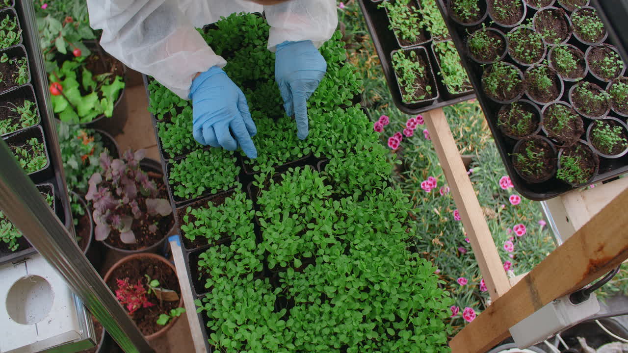 Plant care and inspection in a greenhouse