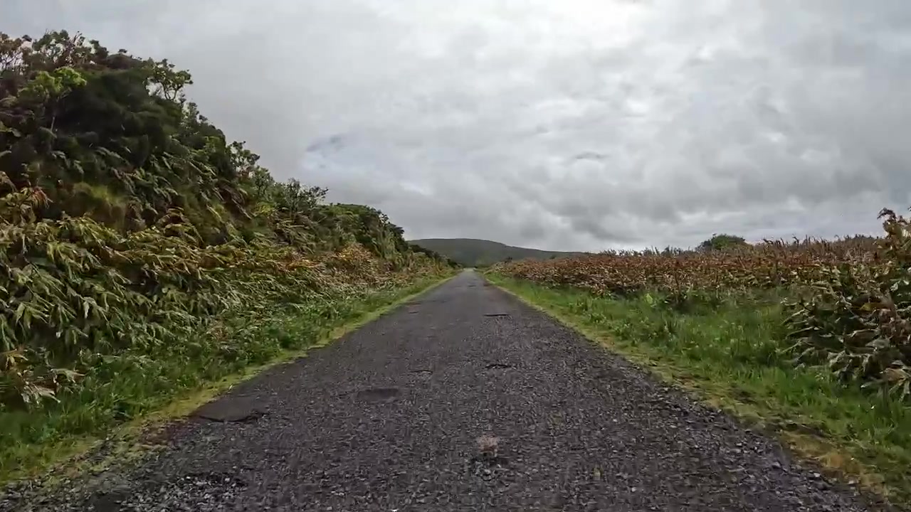 Strada rurale tortuosa attraverso una lussureggiante vegetazione verde in una giornata nuvolosa nelle Azzorre.
