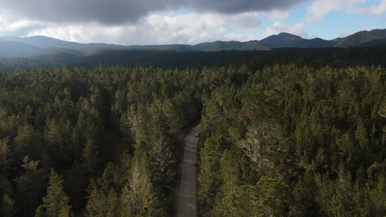 suv conduce a lo largo de la carretera de tierra boscosa en la sombra para explorar el parque nacional valle nuevo