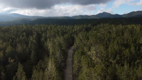 SUV-drives-along-forested-dirt-road-in-the-shade-to-explore-Valle-Nuevo-National-Park