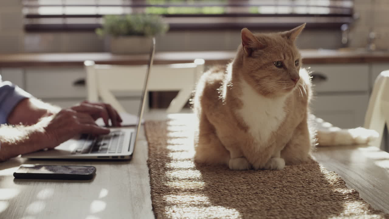 그가 내가 일하는 것을 지켜보고 있습니다.