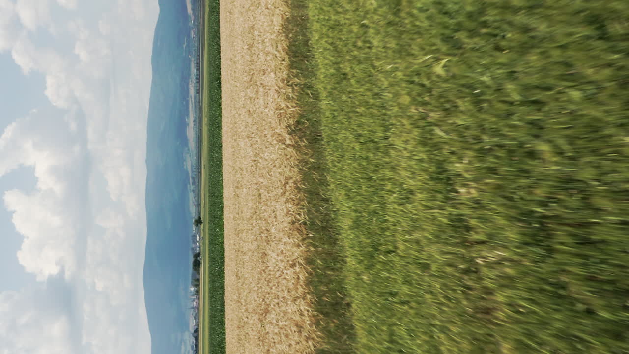 View Of Green And Brown Wheat Fields Near Delnita On A Cloudy Sunny Day