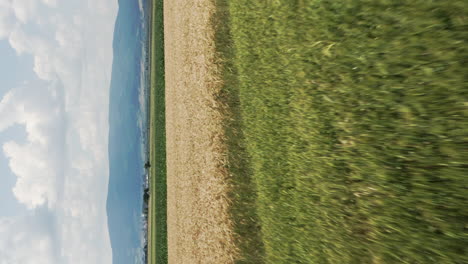 view of green and brown wheat fields near delnita on a cloudy sunny day