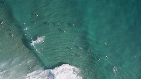 large swell wraps around a popular surf spot as a crowd of surfers wait to ride the waves