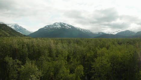 stunning aerial footage of wind blowing trees with mountains rising from the forest in the distance