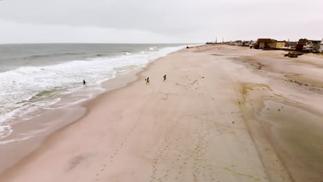 toma aérea de surfistas dejando a sus amigos, corriendo por la playa a través de una bandada de gaviotas sosteniendo sus tablas de surf