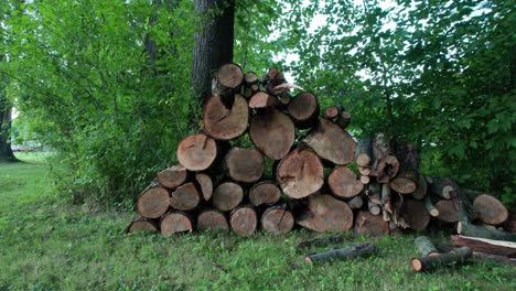 in the green garden in front of the big tree, a number of firewood logs are stacked one on top of the other in the shape of pyramids