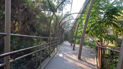 a serene walk through a bird enclosure