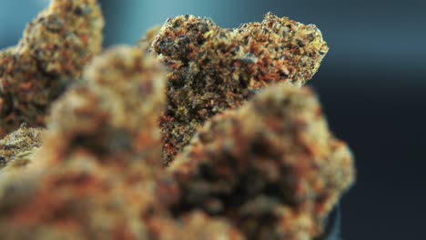 A-macro-cinematic-crispy-shot-of-a-cannabis-plant,-orange-hybrid-strains,-Indica-and-sativa-,-dark-purple-marijuana-flower,-on-a-rotating-stand,-slow-motion,-4K,-professional-studio-lighting