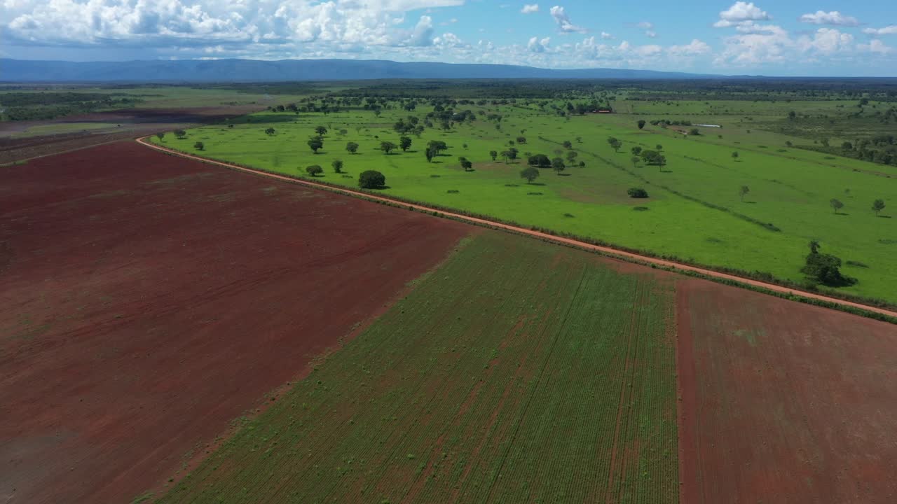 Huge soybean farm from deforested land in the Brazilian Cerrado - aerial view