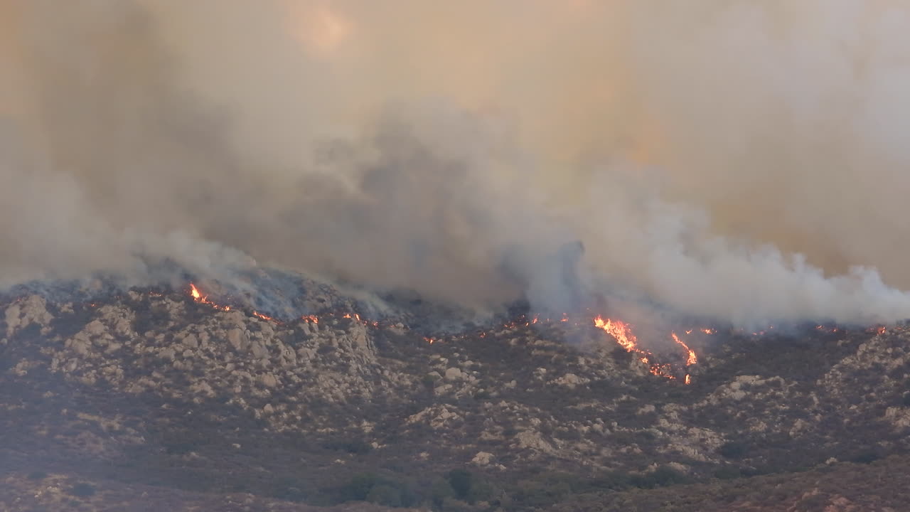 Glowing embers and smoking ash remains of devastation from forest wild fire natural disaster