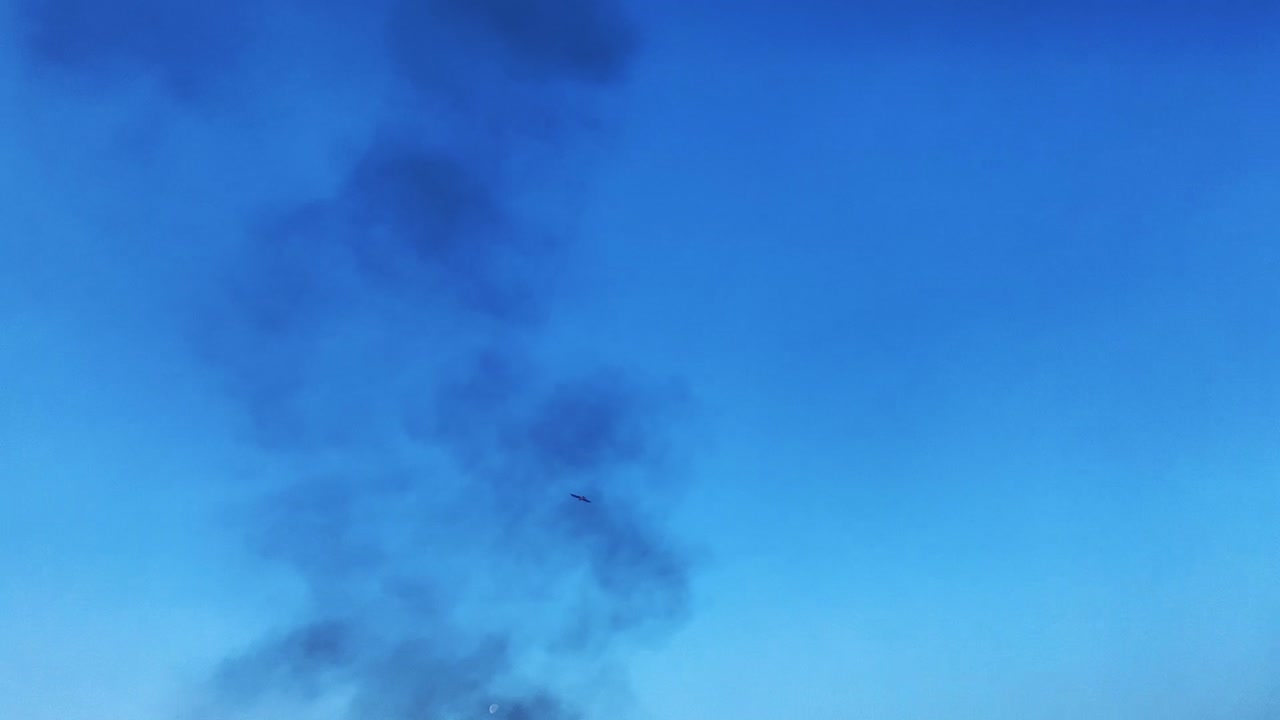 오염된 지역을 날아다니는 새의 추적 샷, 푸른 하늘을 배경으로 큰 굴뚝