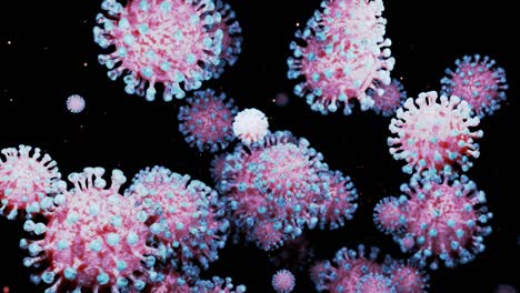 en primer plano, el coronavirus tipo covid-19, h1n1, la gripe aviar o la gripe porcina se mueven suavemente en fluidos. representación 3d del virus como un fondo de bucle microscópico microbiológico. gradiente azul rojo 14