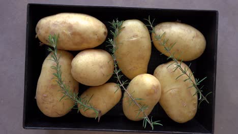 stop motion of unpeeled potatoes and fresh rosemary sprig on a tray