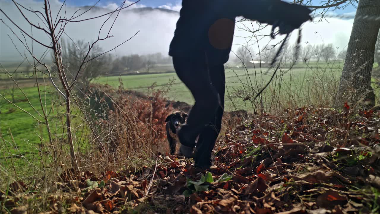 Lavvinkelbillede af en person, der går tur med sin hund gennem et tåget efterårslandskab, med nedfaldne blade på jorden og tågede marker i baggrunden.