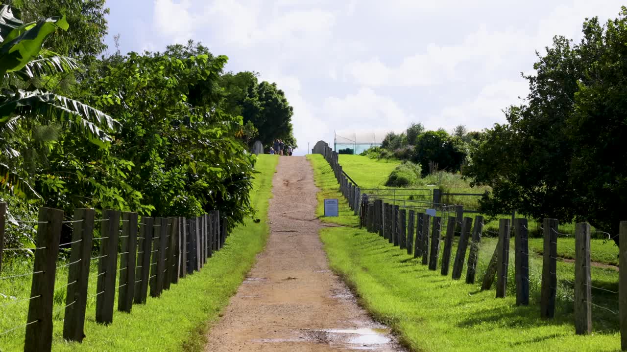 A tranquil dirt path lined with trees and fences under bright daylight in Byron Bay, Australia