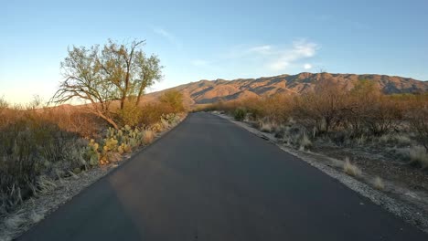 point of view while driving towards the rincon mountains in the saguaro national park in sonoran desert at sunset