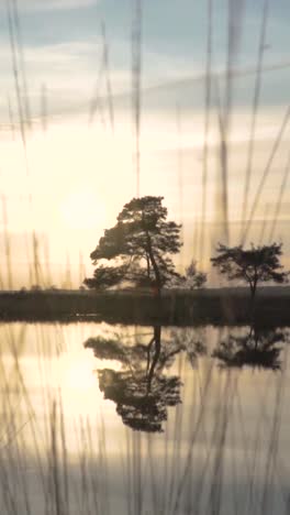 sunrise or sunset over a calm lake with trees