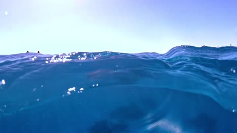 Snorkeling-in-the-search-of-dolphins