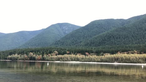 Alouette-lake-south-beach-in-Golden-ears-park,-Maple-Ridge,-BC,-Canada-on-a-cloudy-day