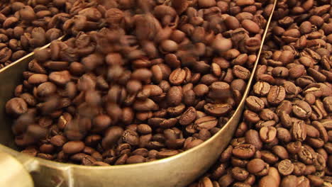 granos de café 4