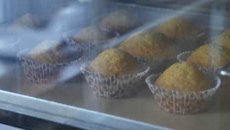 freshly baked cupcakes in oven