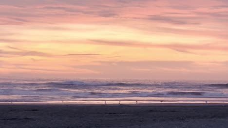 Warmer-Pastellfarbener-Strand-Sonnenuntergang-Mit-Meereslandschaft-Und-Vogelschwarm-Silhouetten
