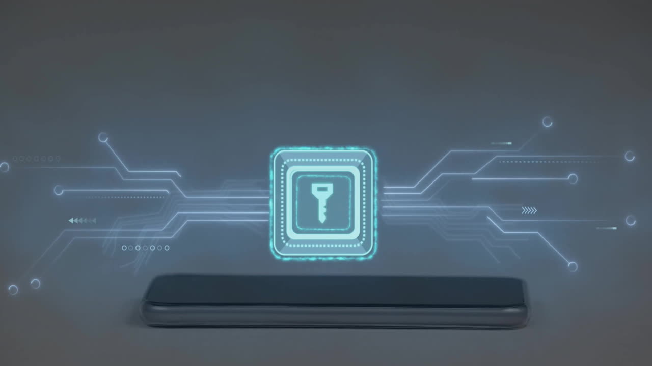 animación de la clave y la red de conexiones en fondo gris