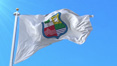 Maule Region Flag, Chile. Loop