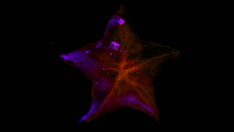 kirlian photography of a cross section of star fruit