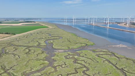 drone volando sobre el estuario del humedal en zelanda, los países bajos