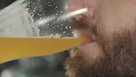 young brewer wearing a leather apron is tasting beer at a modern brewery