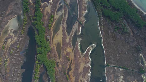 Nature-on-beautiful-lagoon-in-Albania-with-colors-and-shapes-like-abstract-painting-seen-from-above