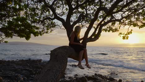 Niña-En-El-árbol-Al-Atardecer,-Maui-Hawaii