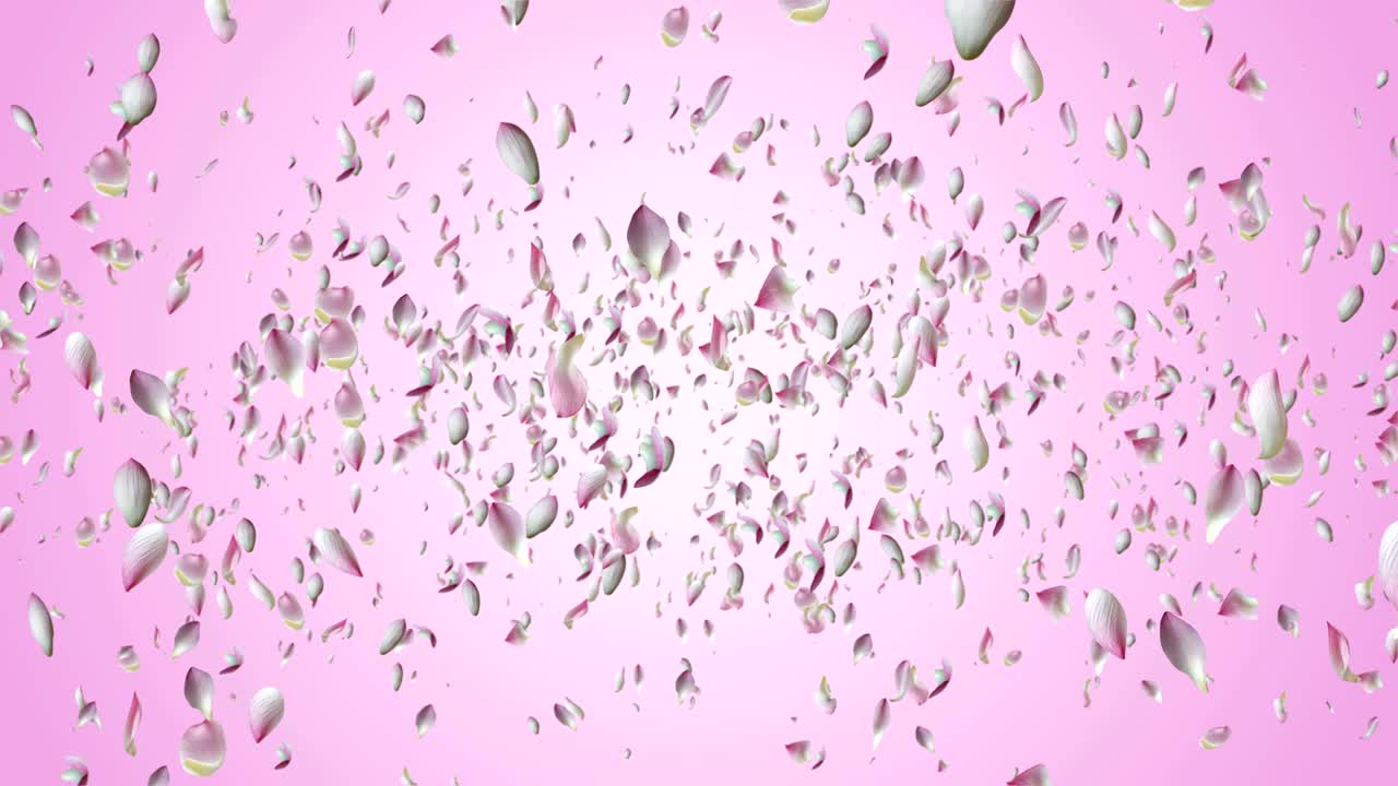 꽃잎이 날아다니고 있습니다.