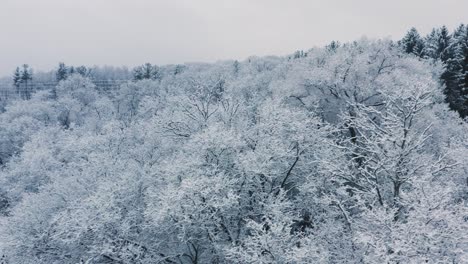 Aerial-of-a-snow-capped-woodland-and-revealing-a-rural-crossroad-near-Toronto